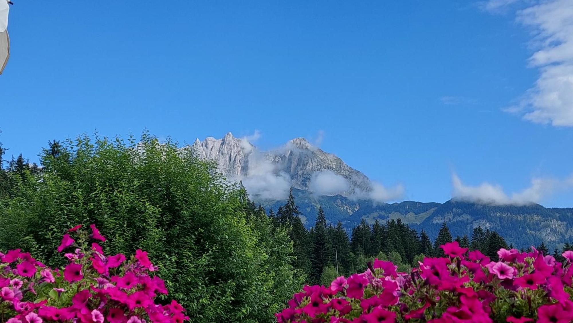 Gartenhotel Rosenhof Bei Kitzbuehel Oberndorf in Tirol Eksteriør bilde